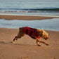 Red Paddle Co Dog Buoyancy Aid - Red