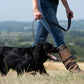 Dubarry Ranger Leather Clipped 4' Dog Lead - Mahogany
