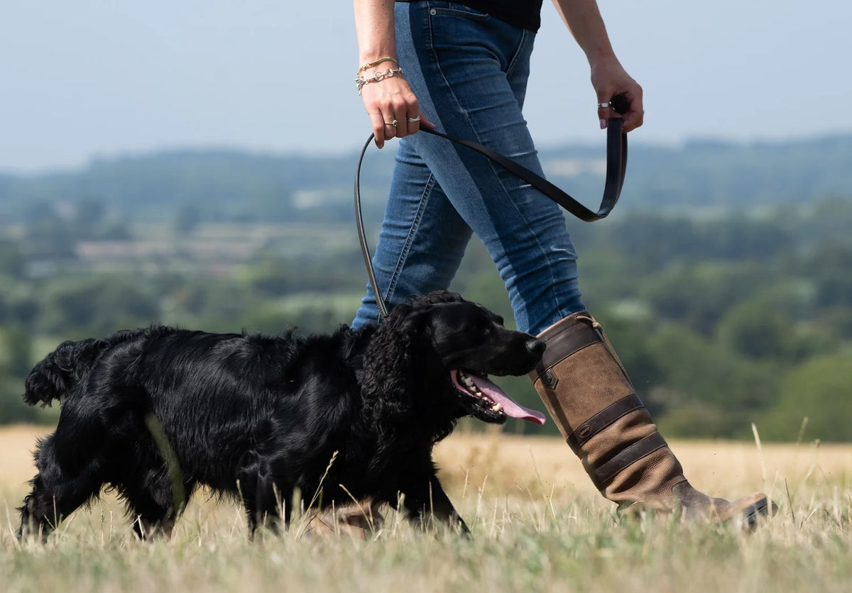 Dubarry Ranger Leather Clipped 4' Dog Lead - Mahogany