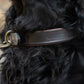 Dubarry Axel Padded Leather Dog Collar - Mahogany