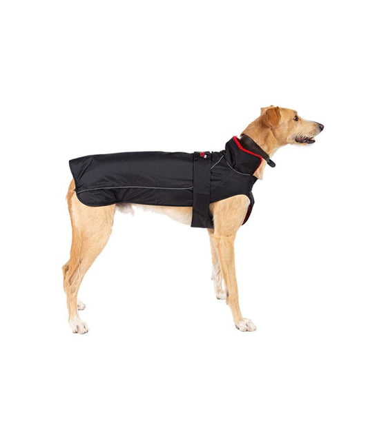 Dryrobe Dog - Black Red